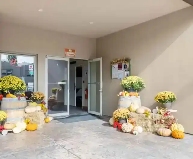 gallery10