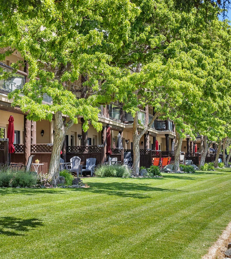 Townhouse Lawn and Outdoor Area